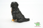 Preview: Schleich Berner Sennenhund 16316